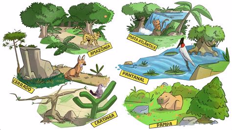 jogos educativos sobre biomas anos inicias